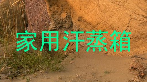 家用汗蒸箱