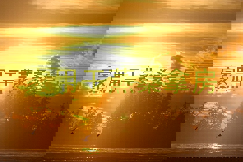 家用干蒸桑拿房