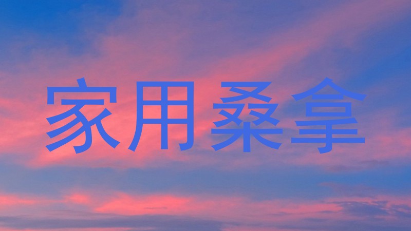 家用桑拿