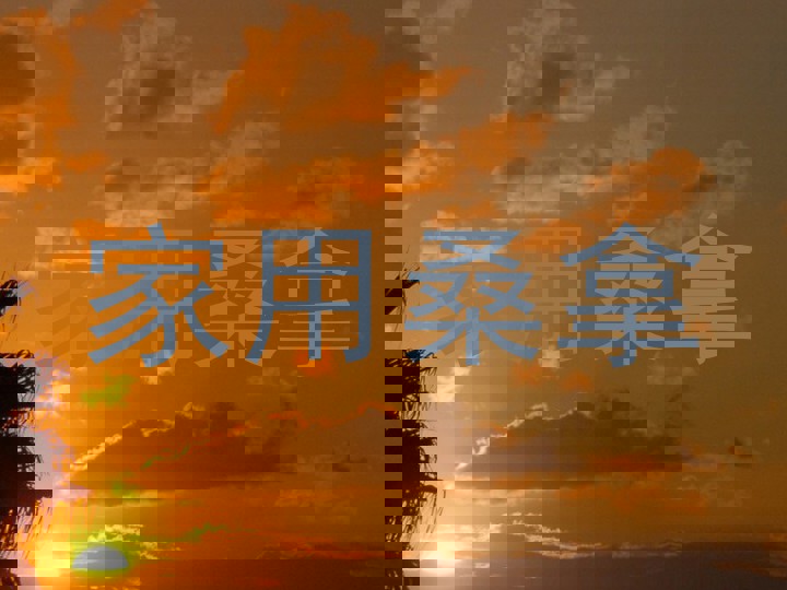 家用桑拿