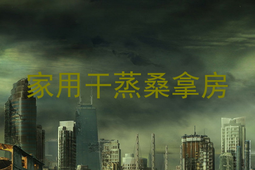 家用干蒸桑拿房