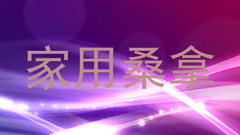 家用桑拿