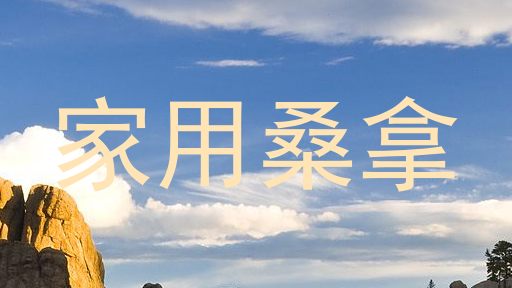 家用桑拿