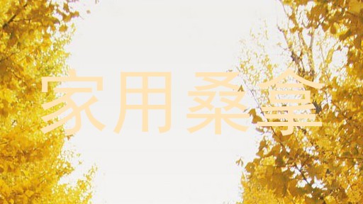 家用桑拿