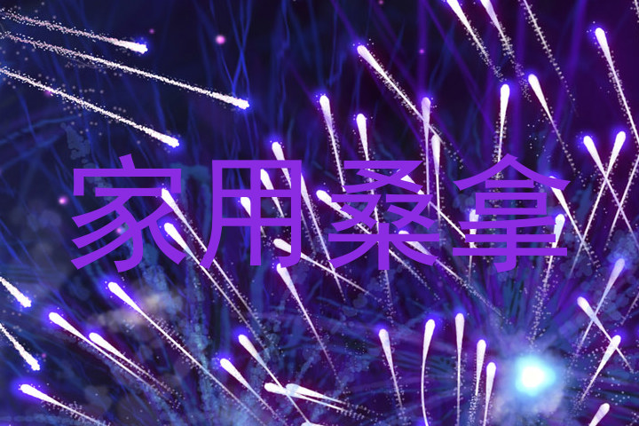 家用桑拿