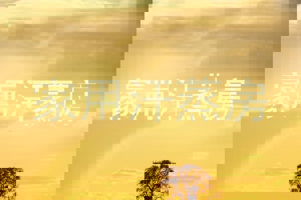 家用汗蒸房