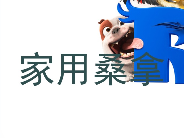家用桑拿