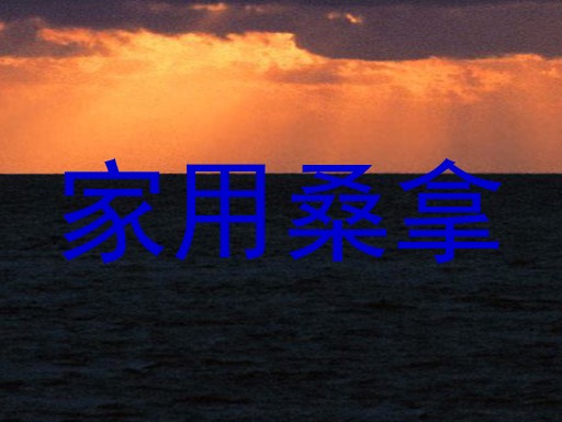 家用桑拿