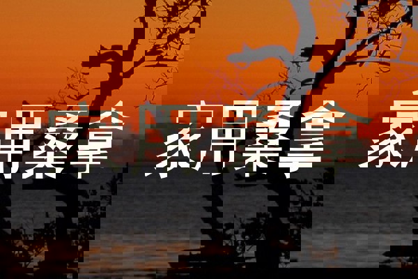家用桑拿