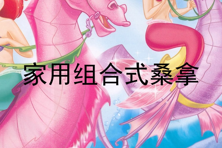家用组合式桑拿