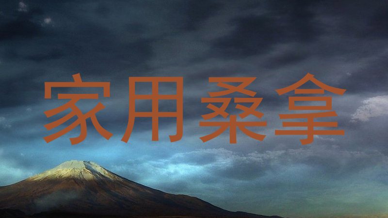 家用桑拿