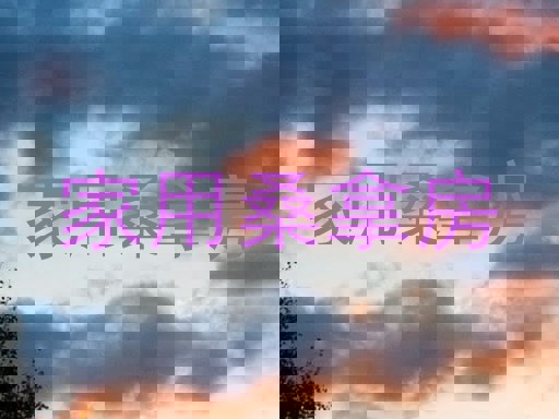 家用桑拿房