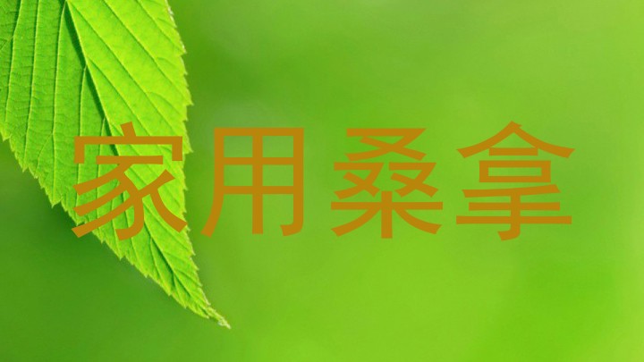 家用桑拿