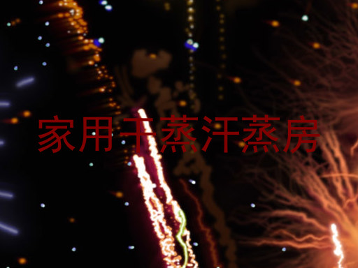 家用干蒸汗蒸房
