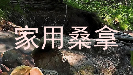 家用桑拿
