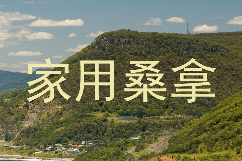 家用桑拿