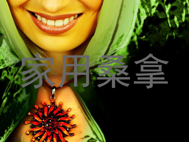 家用桑拿