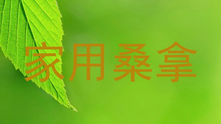 家用桑拿
