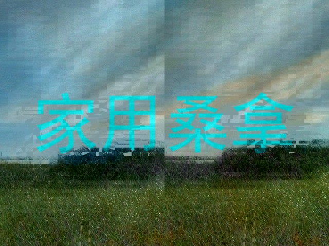 家用桑拿