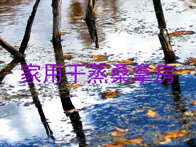 家用干蒸桑拿房