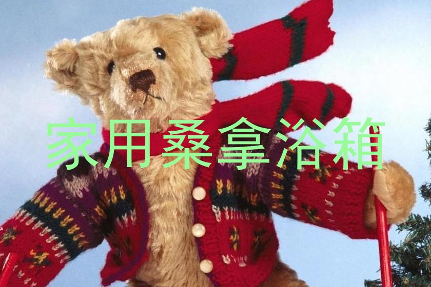 家用桑拿浴箱