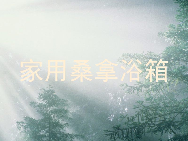 家用桑拿浴箱