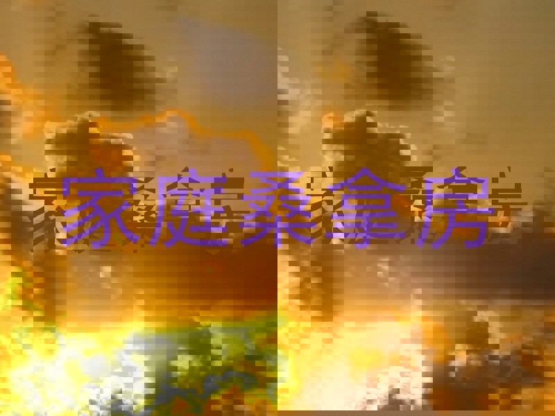 家庭桑拿房