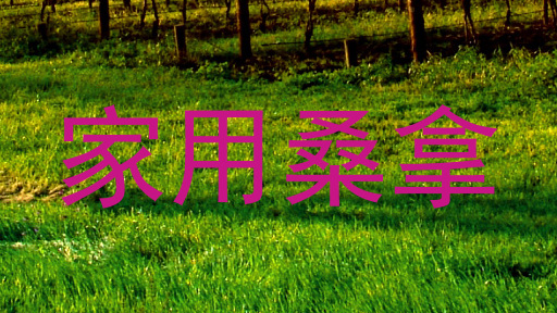 家用桑拿