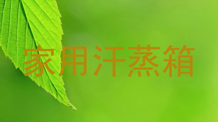 家用汗蒸箱