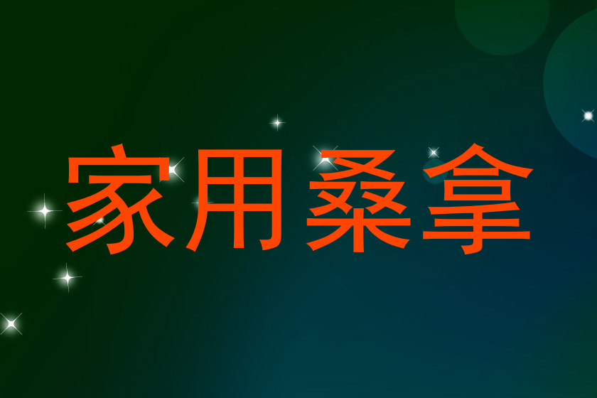 家用桑拿