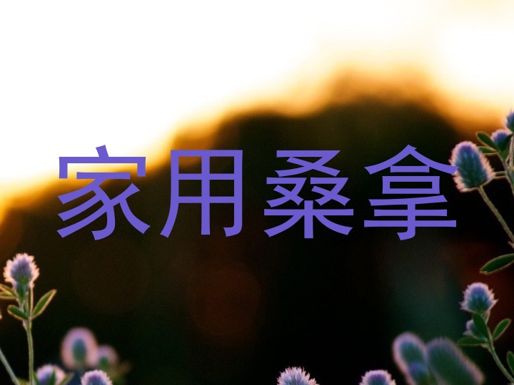 家用桑拿