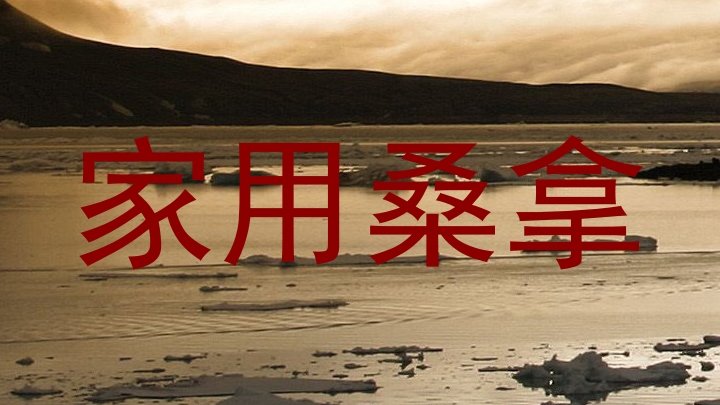 家用桑拿