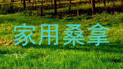 家用桑拿