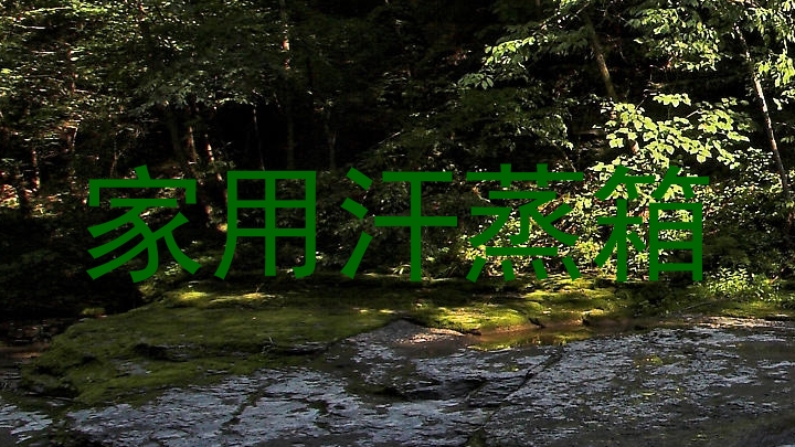家用汗蒸箱