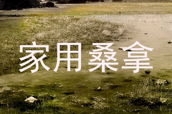 家用桑拿