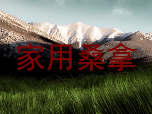 家用桑拿
