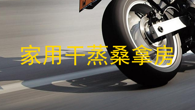家用干蒸桑拿房