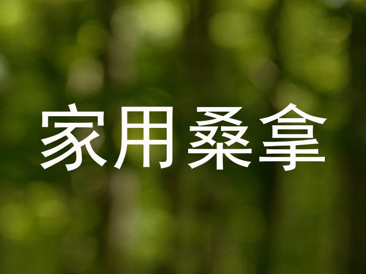 家用桑拿