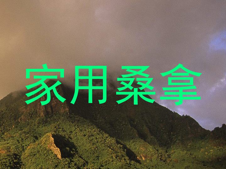 家用桑拿