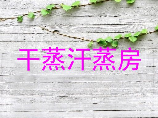 干蒸汗蒸房