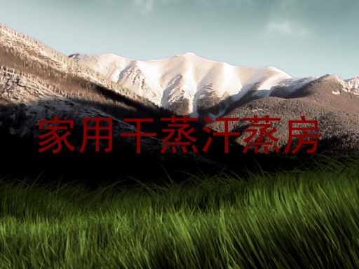家用干蒸汗蒸房