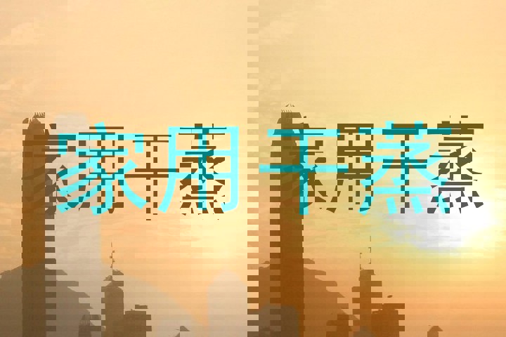家用干蒸