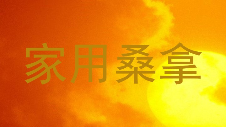 家用桑拿