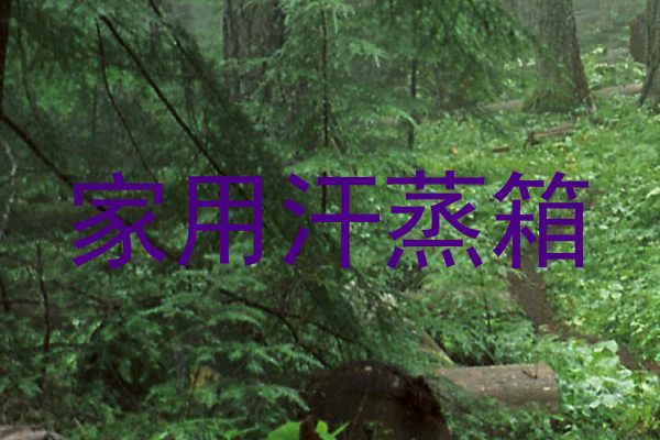家用汗蒸箱