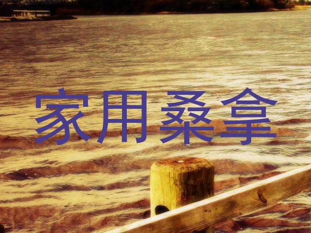 家用桑拿