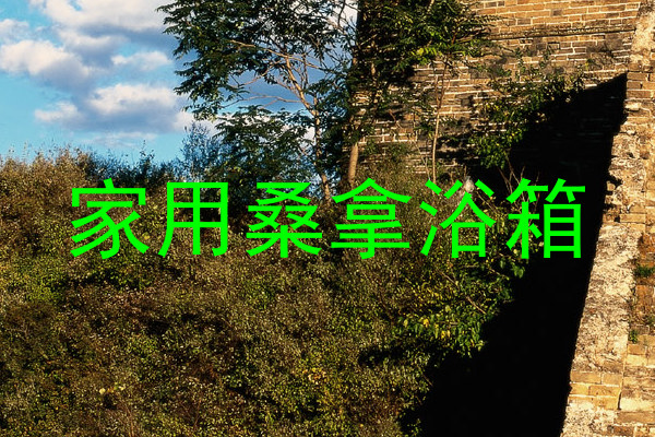 家用桑拿浴箱