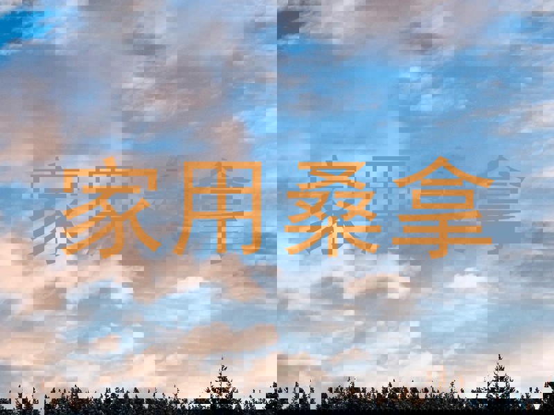 家用桑拿