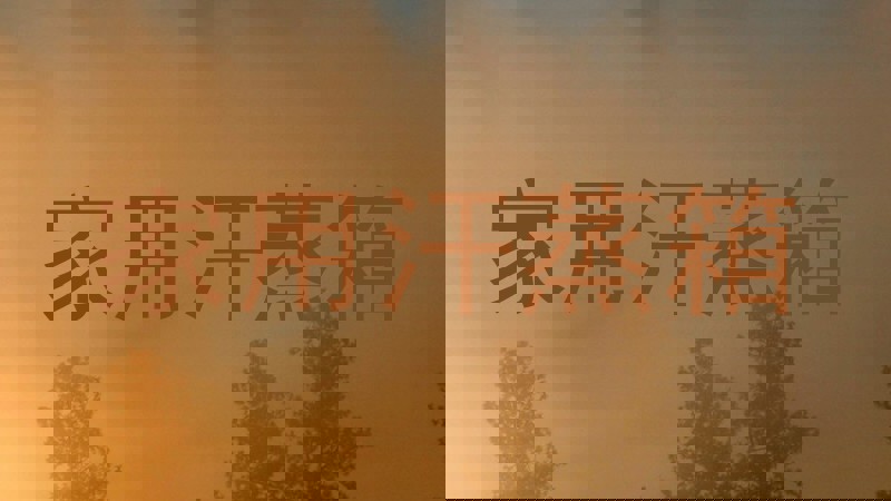 家用汗蒸箱