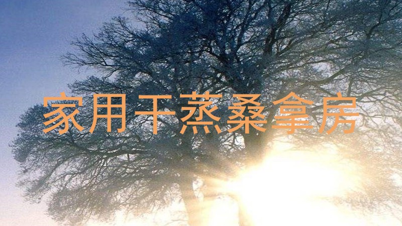 家用干蒸桑拿房