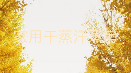 家用干蒸汗蒸房